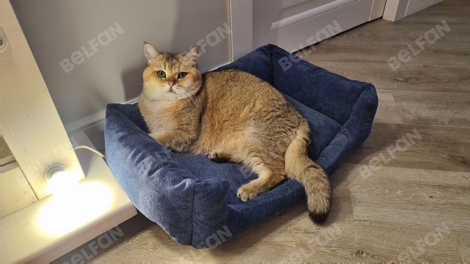 Лежанка для животных (прямоугольная). Фотографии клиентов. 1