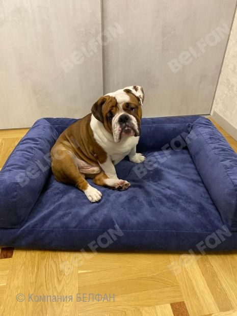 Лежанка для животных (прямоугольная). Фотографии клиентов. 4