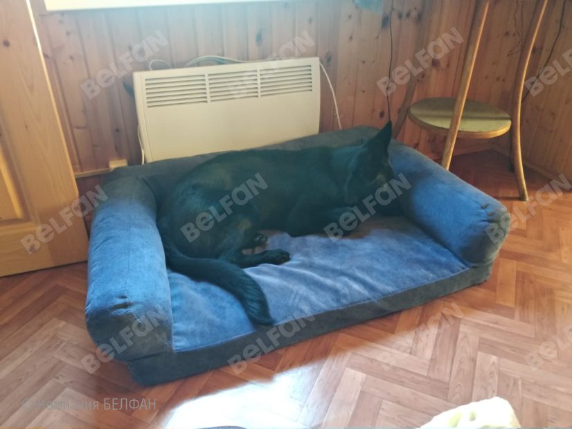 Лежанка для животных (прямоугольная). Фотографии клиентов. 5