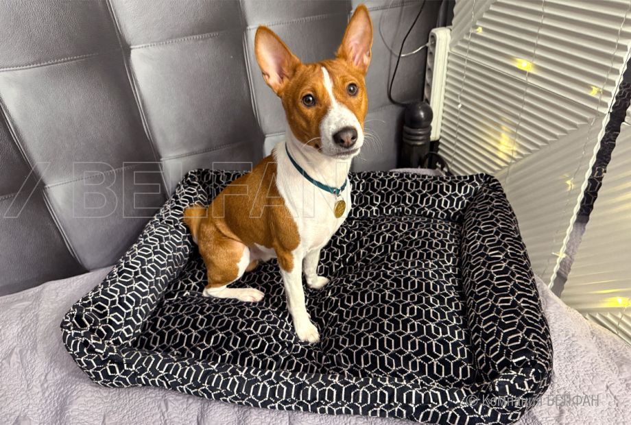 Лежанка для животных (прямоугольная). Фотографии клиентов. 2