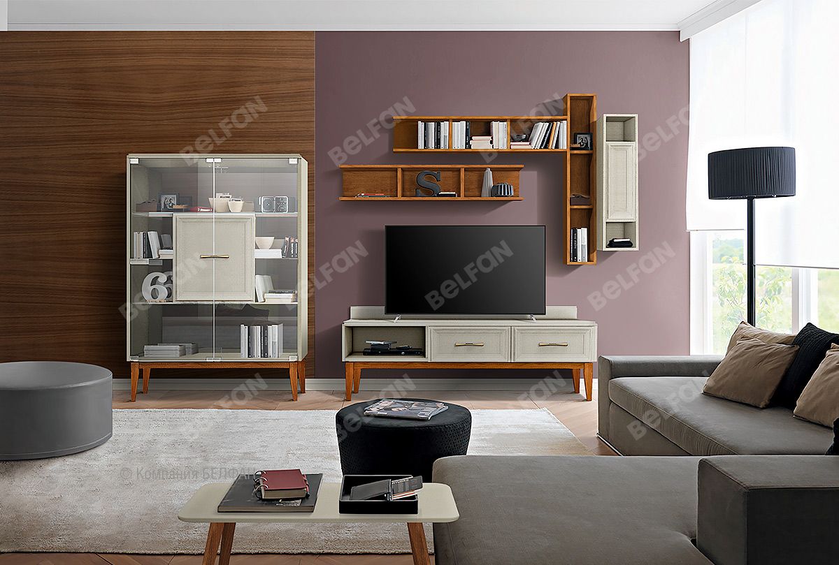 Mebel' v stile modern 