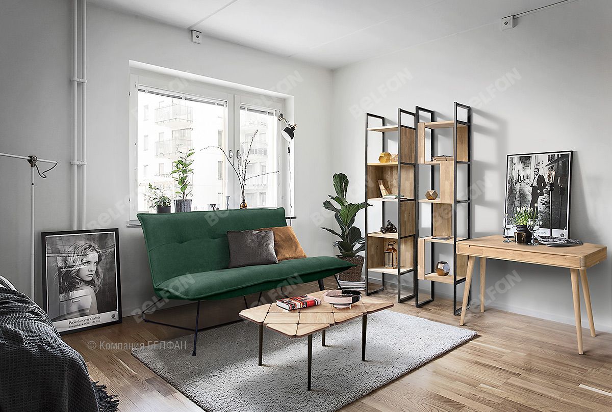 Vybor mebeli v gostinuyu 