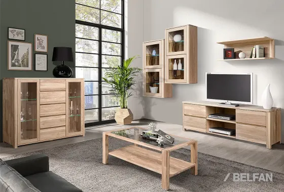 Гостиная «Норд» #3