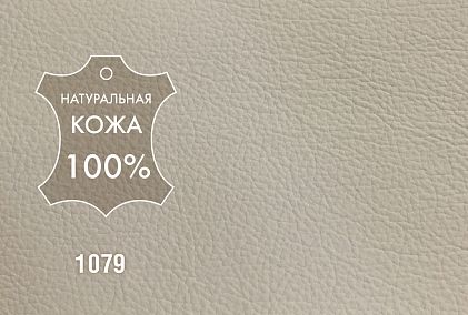 Сундук "Тэфи"