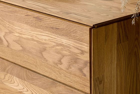 Тумба "Гринвуд" 2 массив дуба 10