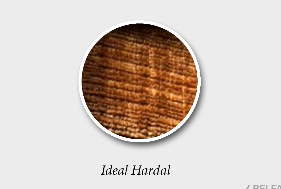 "Киото" секция одноместная 2