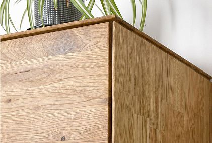 Шкаф навесной "Гринвуд" (левый)