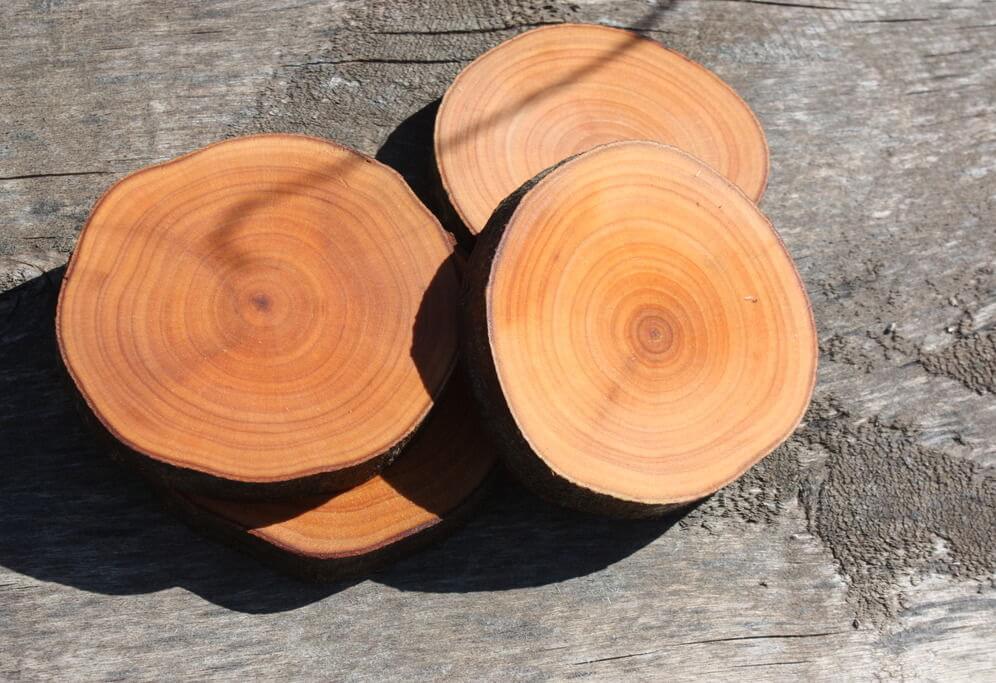 plusy_vitrina_iz_massiva_olchi