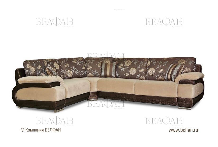 Коричневый и белый