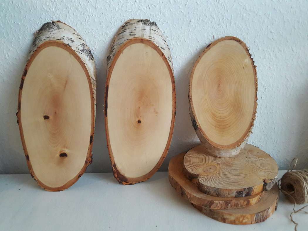  Береза обыкновенная