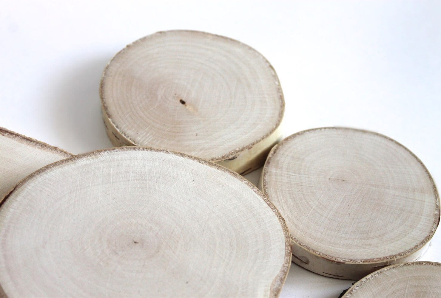 Березовые кухни