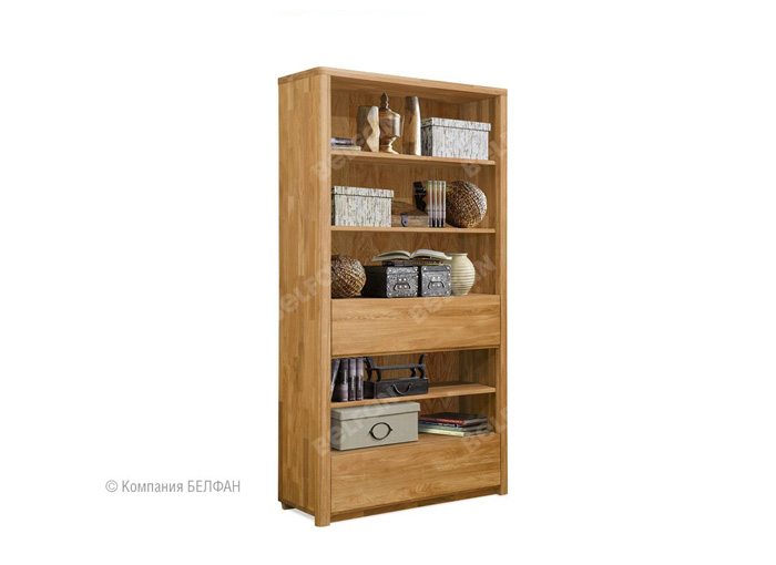 Виды книжных шкафов для домашней библиотеки